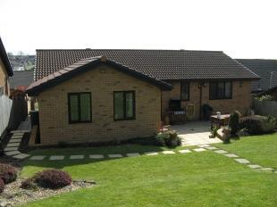 Rear Aspect