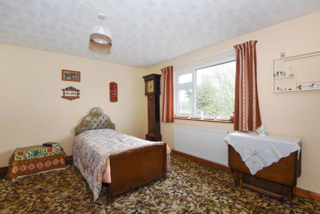 Photos