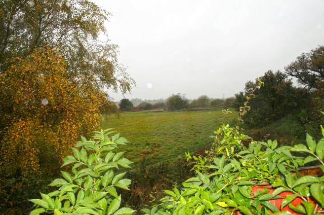 Extra image 11