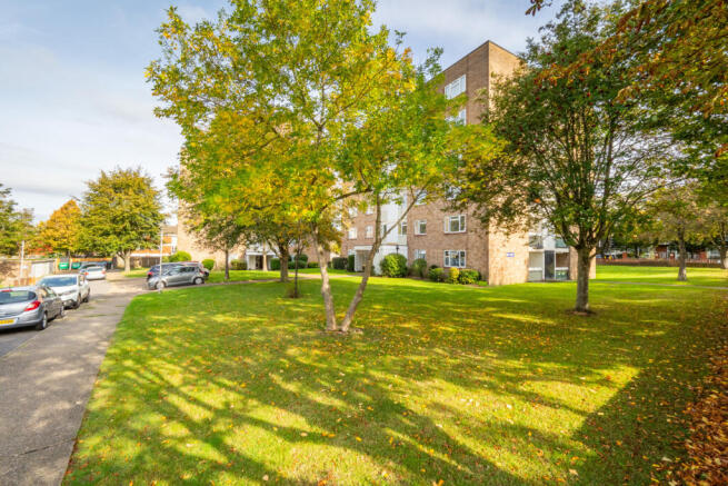 Communal Grounds