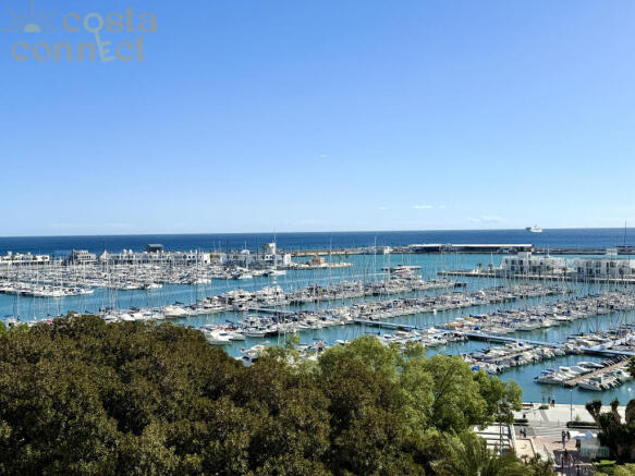 20251106_111918012_iOS