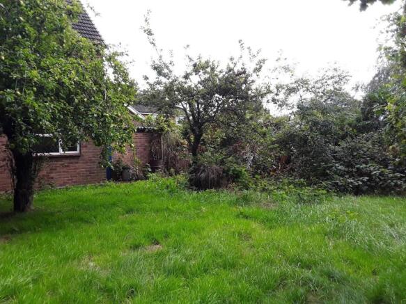 festival garden.jpg