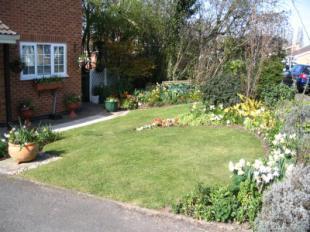 Front Garden