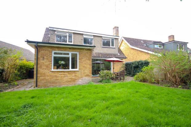 Rear Elevation
