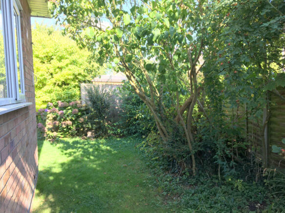 Photo 14
