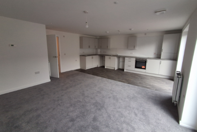Livingroom and Kitchen