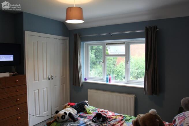 IMAGE 4