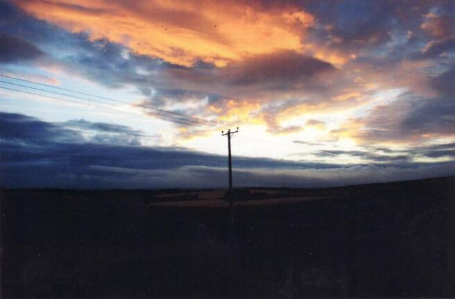 Photo 35