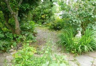 Image 15