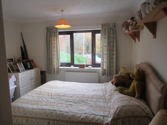 Photo 10
