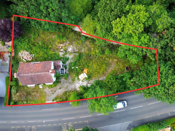 Untitled design (3).png