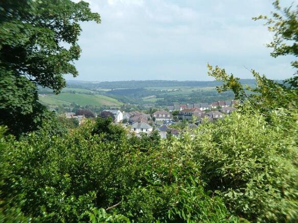 view from garden
