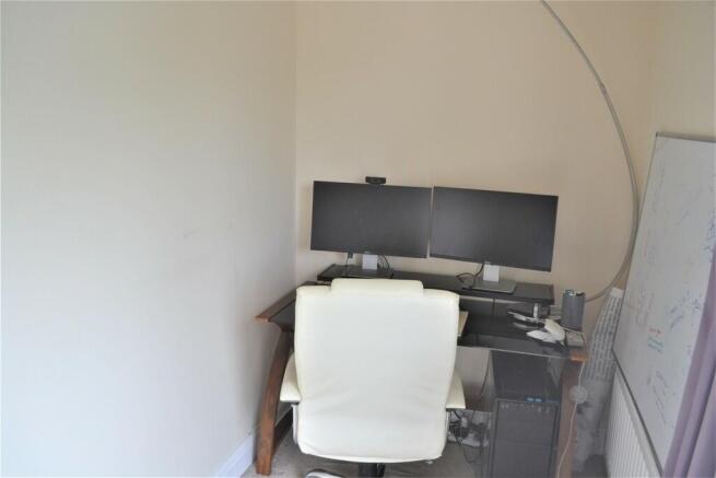 Study Area