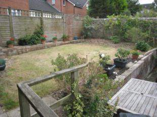 Garden 2