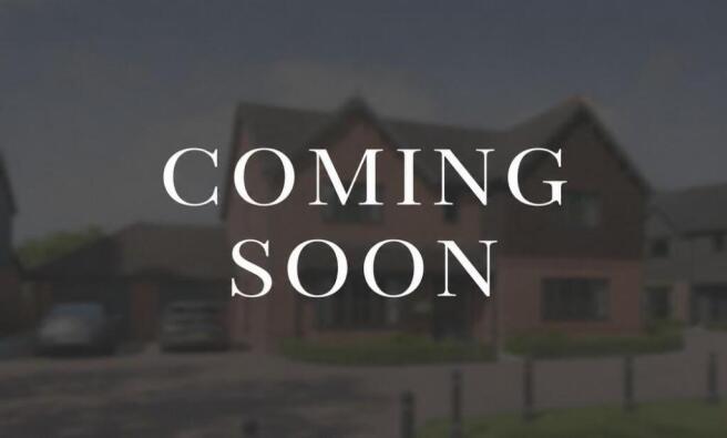 Dandara - Hawthorn Grove - The Burghley