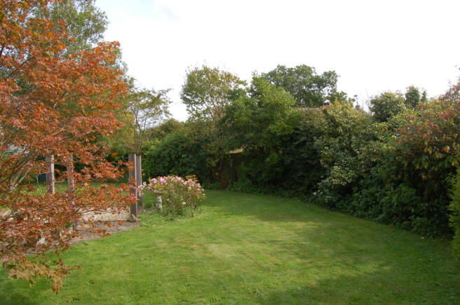 Photo 11
