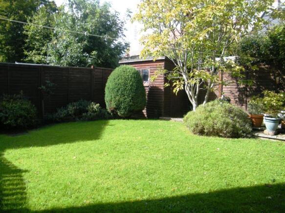 garden 2.JPG