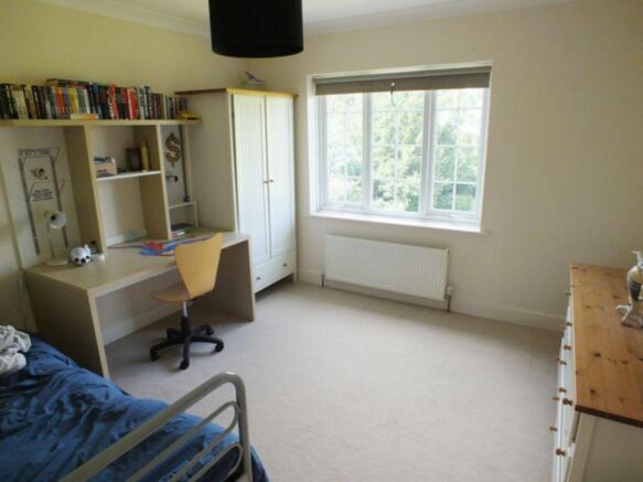 Photo 15