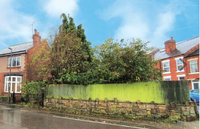 2179646 Web Medium T202508181048.jpg