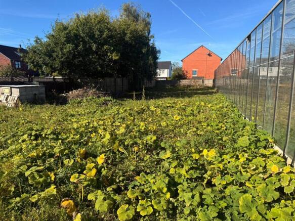 PHOTO-2025-09-24-11-48-47 7.jpg