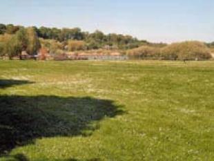 Surrounding Area
