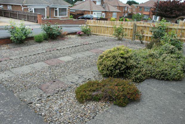 Front Garden