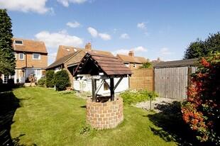 Garden Photo 1
