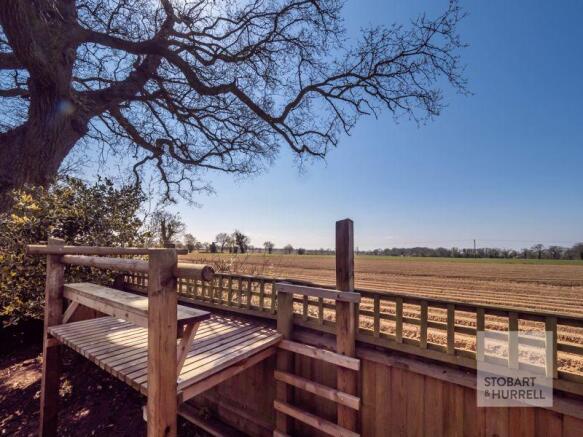 Field Views