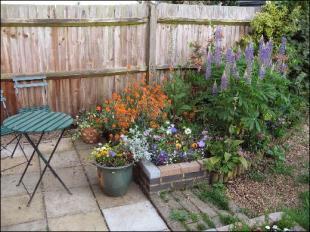 Photo 6