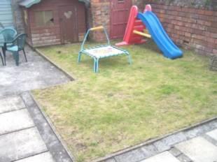 Picture 5