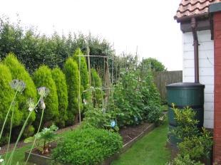 Side Garden