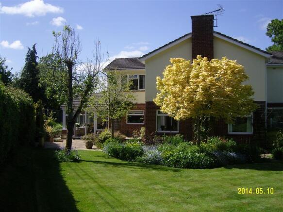 Photo 11