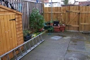 Rear Yard
