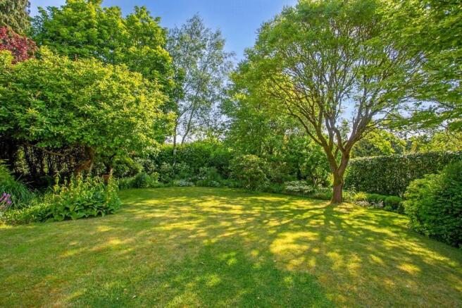 Lawn Area