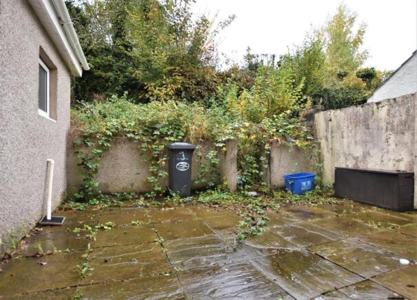 yard.JPG