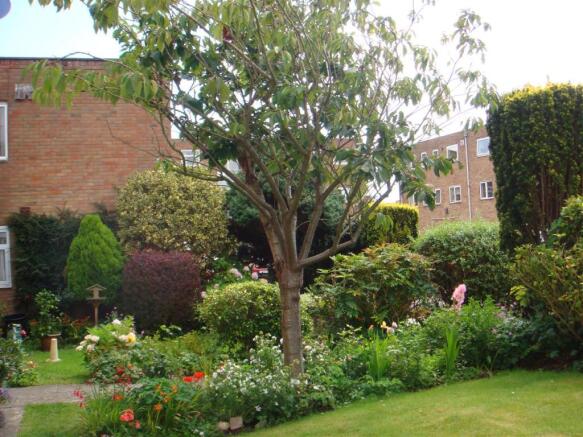 Communal Garden