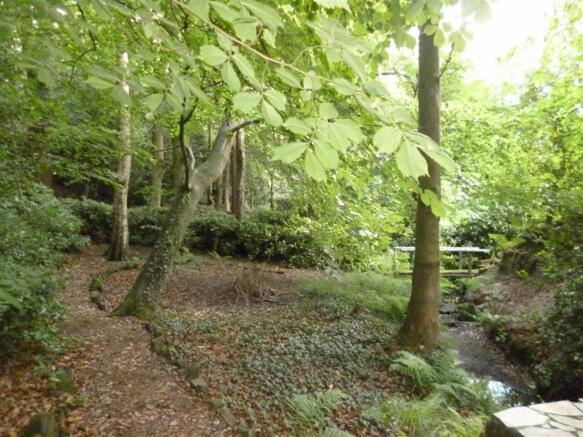 Woodland Area