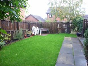 Back Garden