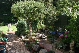 Photo 13