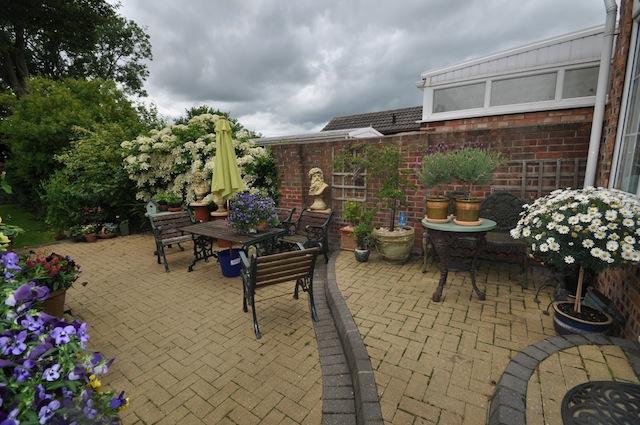 Rear Patio Area