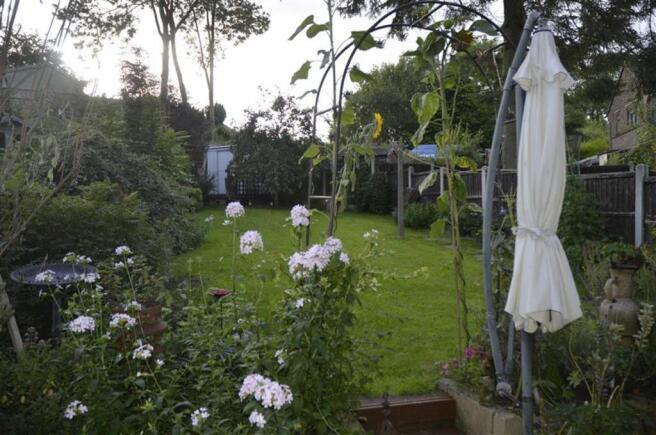 Photo 11