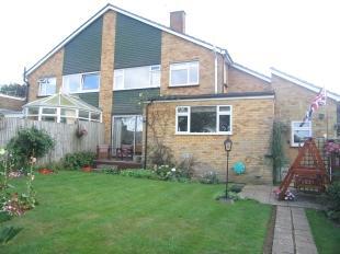 Back Garden