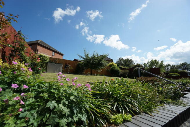 Photo 10