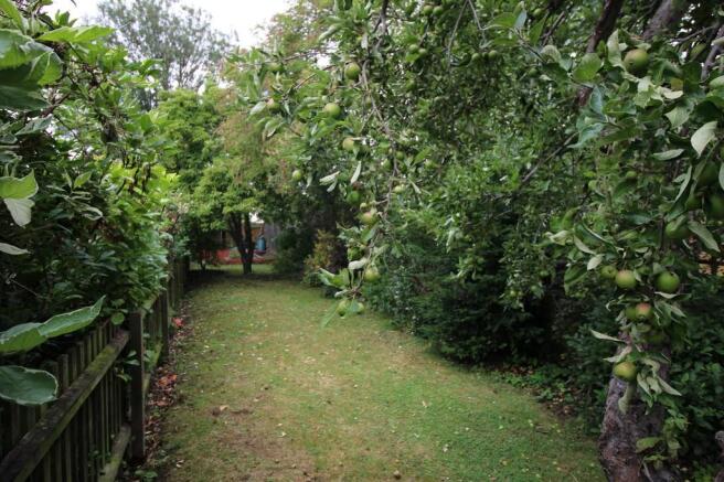 Photo 10