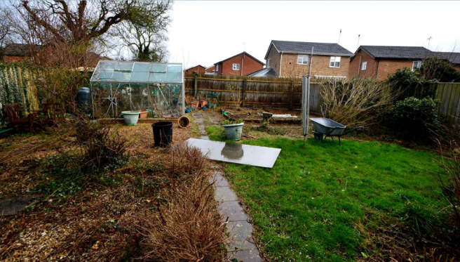 Garden.PNG