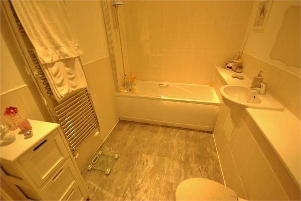 Photograph 7