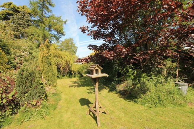 rear garden .
