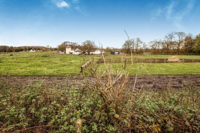 Field
