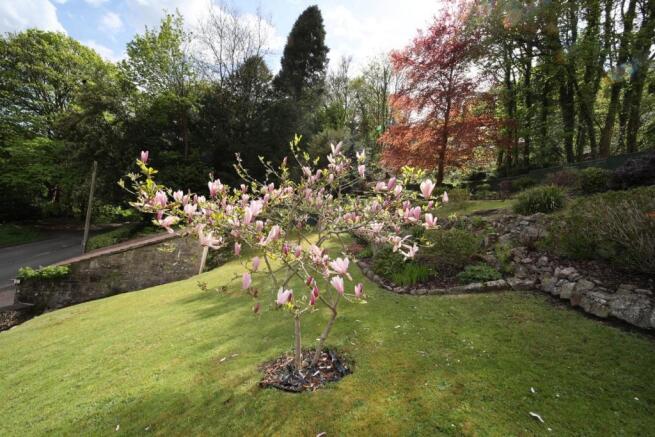 Side lawn