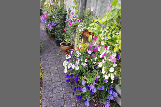 Vendor Garden 6